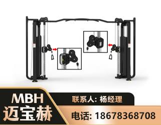肇庆大飞鸟训练器